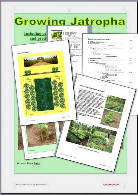 manual growing jatropha