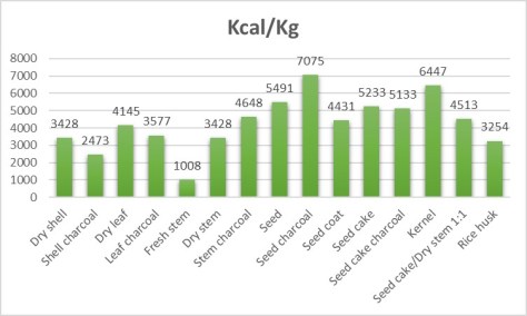 calorische waarde jatropha