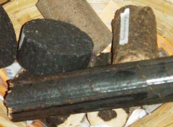 jatropha charcoal katesart